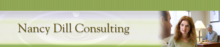 Business Solutions Consulting Header